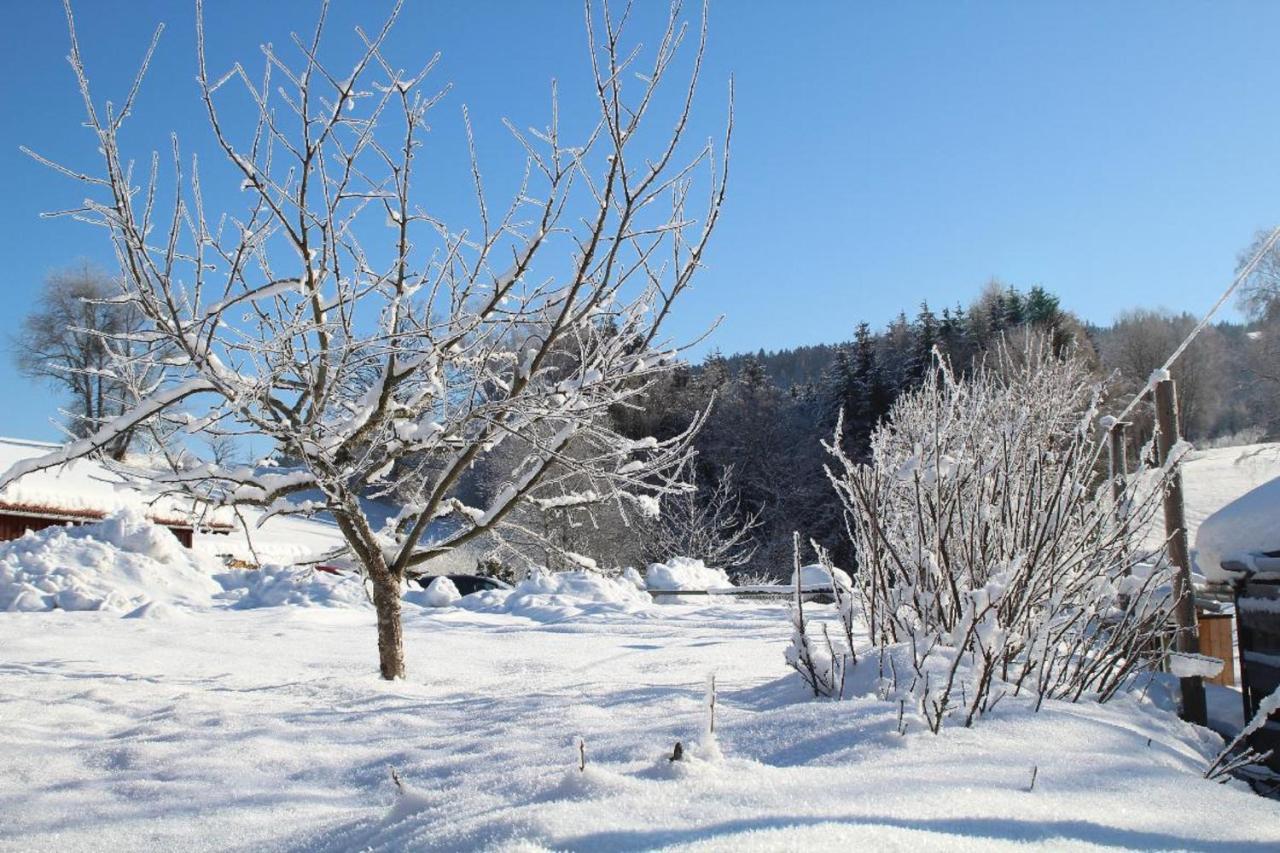 Ferienwohnungen Holzferienhaeuser Leithenwald ซวีเซิล ภายนอก รูปภาพ